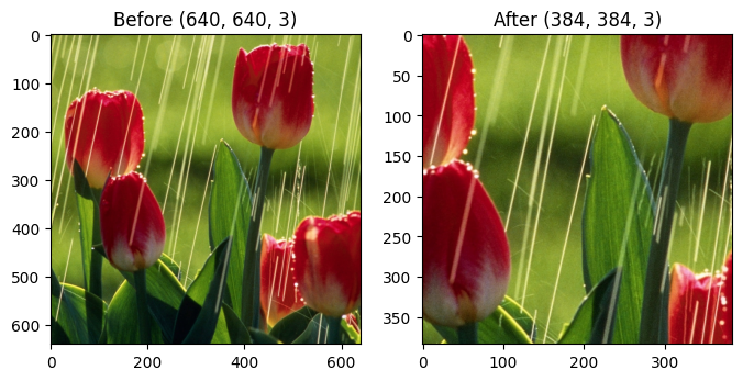 ../_images/examples_CenteredZoom_example_10_0.png