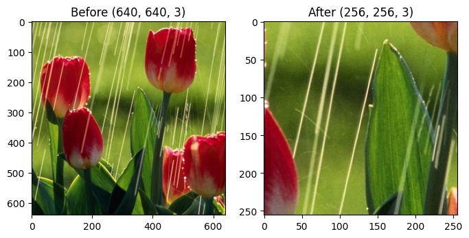 ../_images/examples_CenteredZoom_example_15_0.png