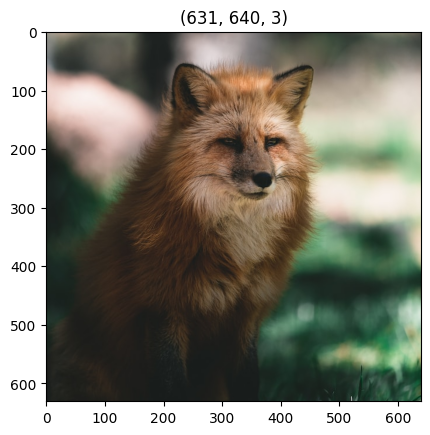 ../_images/examples_DiffpurEnhancer_example_6_0.png