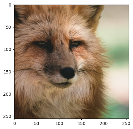 ../_images/examples_DiffpurEnhancer_example_8_0.png